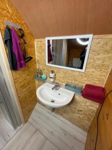 SüdbrookmerlandHaus Geyken / Finnen Fass的一间带水槽和镜子的浴室