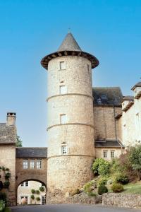 奥内莱沙托Château de Fontanges的建筑的一侧有塔楼