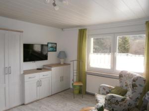 Plaue清晨飞鸟公寓的客厅配有平面电视和椅子。
