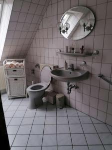 瓦尔斯罗德Pension Weidengrund的一间带卫生间、水槽和镜子的浴室