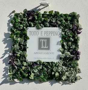 圣萨尔沃Appartamento Totò的绿色植物墙上的标志