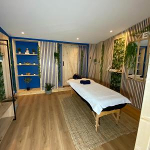 滨海圣帕莱ST PALAIS Appartement cocooning的一间卧室设有一张大床和蓝色的墙壁