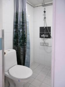 高尔Sentrumsvegen - Private Studio Apartment in Gol的一间带卫生间和淋浴的浴室