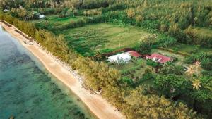 土布艾岛Tavaetu Guesthouse - île de TUBUAI的海滩上房屋的空中景致