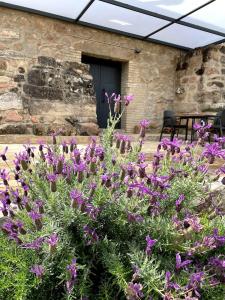 安度亚尔La Bodega的一座花园,在一座建筑前种有紫色花卉