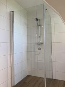 AxelLandhuis 'De Ontspanning'的带淋浴的浴室和玻璃门
