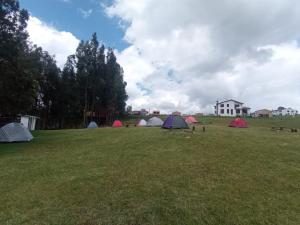 瓜塔维塔Camping Las Acacias的一组帐篷坐在田野里