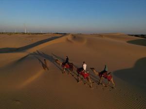 斋沙默尔Blue Eye Hostel的一群在沙漠里骑马的人