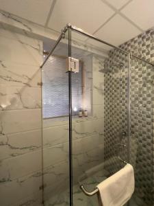 斯利那加Nadis - A handcrafted boutique hotel的带淋浴的浴室和玻璃门