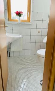 LudwigsstadtHundeparadies Waldblick Lauenstein的一间带水槽和卫生间的浴室以及窗户。