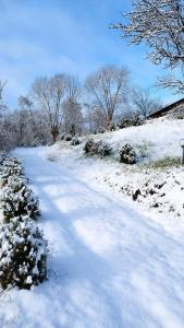 科尔贝尼Casa Veche Corbeni的一条被雪覆盖的路,有树为背景