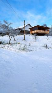 科尔贝尼Casa Veche Corbeni的雪地里的房子