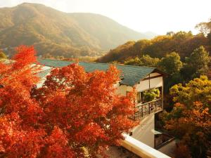 箱根强罗花坛传统日式旅馆的山中红树的房子