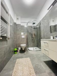 雅西Luxury Apartment with Sunset View Palas的带淋浴和卫生间的浴室以及地毯。