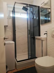 萨格勒布Studio apartman Jordanovac Rebro的带淋浴、卫生间和盥洗盆的浴室
