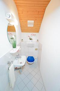 巴瑟尔斯多夫Centra Hotel Zurich的白色的浴室设有蓝色的卫生间和水槽。