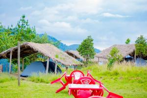 GabegiKitabi EcoCenter的帐篷旁边的草上红色的椅子