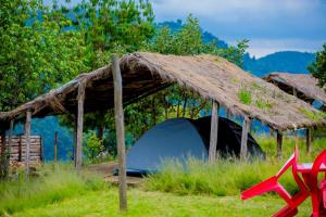 GabegiKitabi EcoCenter的田野上带草屋顶的帐篷