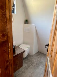 布雷佐伊Hidden Cabin的一间带卫生间和水槽的小浴室