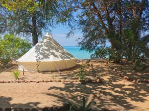 高龙撒冷岛睡眠树旅馆的海边沙滩上的帐篷