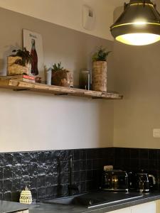 亚眠UMAN, Un Monde à Nous, HYPER CENTRE的厨房设有水槽和植物架子