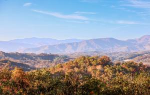 惠提尔Outland Chalet & Suites Great Smoky Mountains的享有山谷的背景山景。