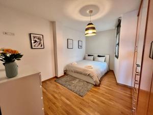 特拉萨Apartamento espacioso y familiar的一间卧室,配有一张床和花瓶