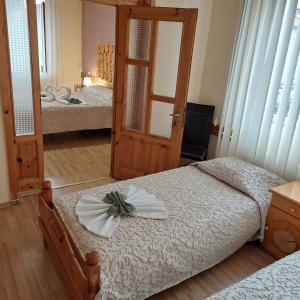 班斯科天竺葵山旅馆的一间卧室配有两张床和镜子