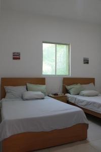 PicosCasa Pé di Polon holiday home的一间卧室设有两张床和窗户。