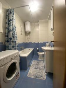 帕莱Apartman Nova Pale的蓝色和白色的浴室设有洗衣机