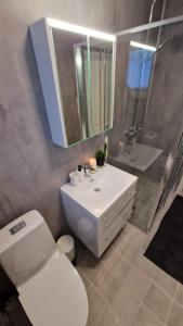 ÅmotHaugetuft Apartments的一间带卫生间、水槽和镜子的浴室