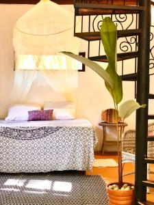 阿拉亚尔达茹达Gaia Eco Glamping - Instituto Almas Livres的卧室里有一床,房间里还有植物