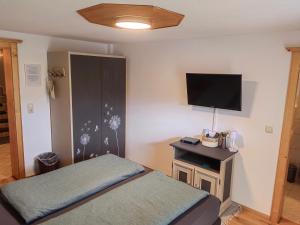蒂罗尔-基希贝格Bergbauernhof Obergaisberg的一间卧室配有一张床和一台平面电视