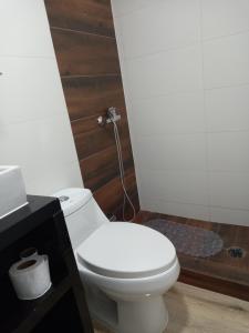 特木科Cabañas y Departamentos Las Palmas, Temuco Depto 1的浴室配有白色卫生间和盥洗盆。