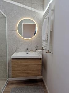 莫尔比耶Duplex type chalet dans le Jura的一间带水槽和镜子的浴室