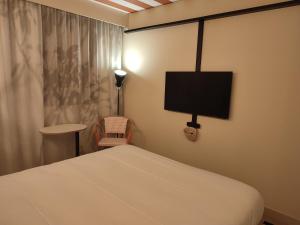 蒙托邦ibis Styles Montauban的卧室配有一张床,墙上配有电视。