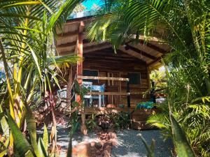 格兰德海滩Glamping Hotel Flor y Bambu的棕榈树丛林中的小木屋