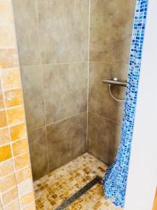 列日La Villa des Coteaux - Proche Centre-ville的浴室内配有蓝色淋浴帘