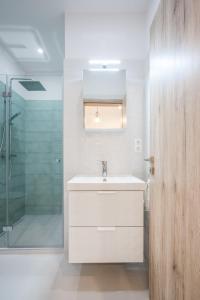 布达佩斯Architecture Fan's Apartment near Opera House的白色的浴室设有水槽和淋浴。