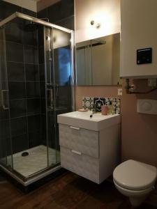 巴斯洛内特Appartement dans une villa au cœur de la ville的带淋浴、卫生间和盥洗盆的浴室