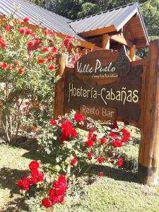 普埃洛湖Valle Puelo的红玫瑰红花红背 ⁇ 标志
