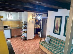 奥萨德蒙铁尔Casas rurales lagunas de Ruidera II的带沙发的客厅和厨房