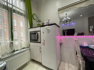 布鲁塞尔Appartement centre Zaza的厨房配有白色冰箱和窗户。