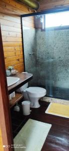 维奥康德马奥Cabana Vista Maravilhosa的浴室配有卫生间、盥洗盆和淋浴。