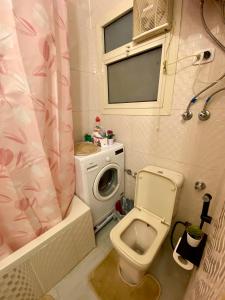 开罗Cozy 2BR Apartment in Maadi的一间带卫生间和水槽的小浴室