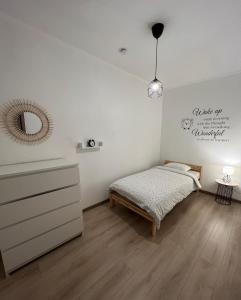 布鲁塞尔Apartment - Place Jourdan & EU institutions的卧室配有一张床,墙上设有镜子