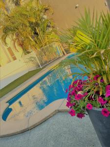 黄金海岸太平洋海岸汽车旅馆的一座种有花卉和植物的游泳池