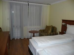 科泰尔Park Hotel Izvorite的配有一张床和一把椅子的酒店客房