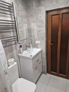 久姆里Дом的一间带水槽、卫生间和镜子的浴室