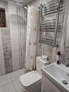 久姆里Дом的浴室配有卫生间、淋浴和盥洗盆。
